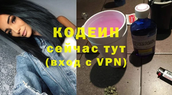 индика Лагань