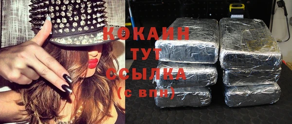 индика Лагань