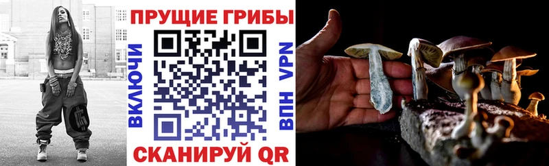 Купить где  Мелеуз  Галлюциногенные грибы MAGIC MUSHROOMS 