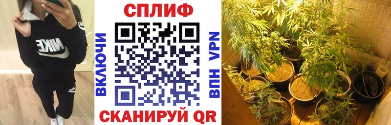 Купить  Мелеуз  Шишки марихуана MAZAR 